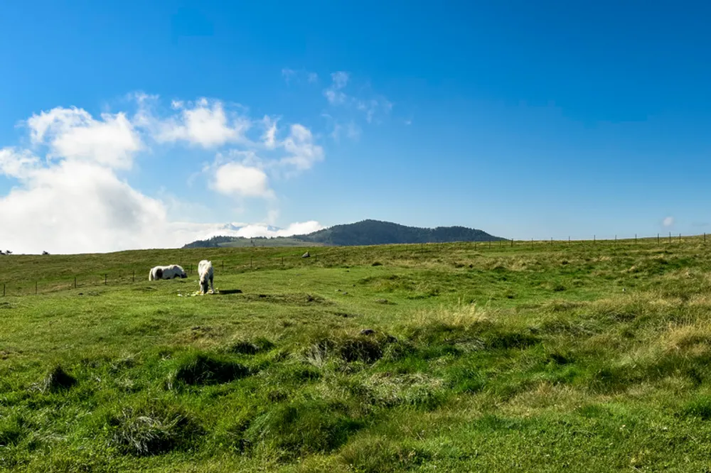 蓼科の子連れ宿泊におすすめのホテル8選！ウェルカムベビーなお宿もご紹介！