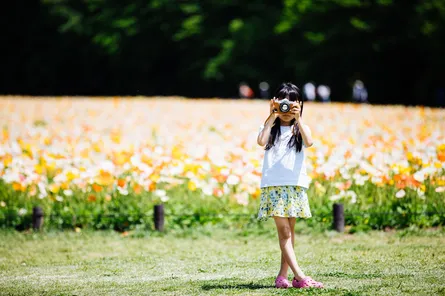 レゴランド周辺の子連れ宿泊におすすめのホテル14選！!未就学児も存分に旅行を楽しもう！