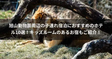 旭山動物園周辺の子連れ宿泊におすすめのホテル10選！キッズルームのあるお宿もご紹介！