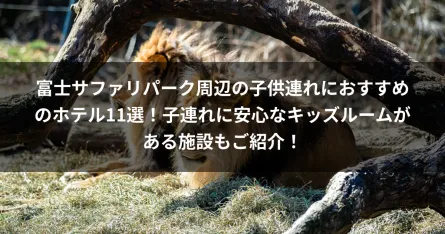富士サファリパーク周辺の子供連れにおすすめのホテル11選！子連れに安心なキッズルームがある施設もご紹介！