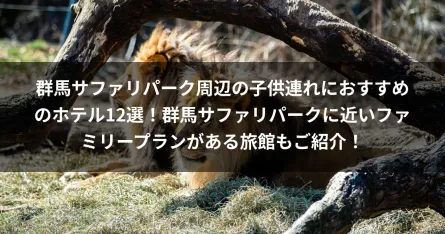 群馬サファリパーク周辺の子供連れにおすすめのホテル12選！群馬サファリパークに近いファミリープランがある旅館もご紹介！