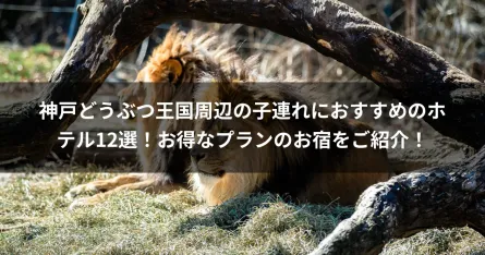 神戸どうぶつ王国周辺の子連れにおすすめのホテル12選！お得なプランのお宿をご紹介！