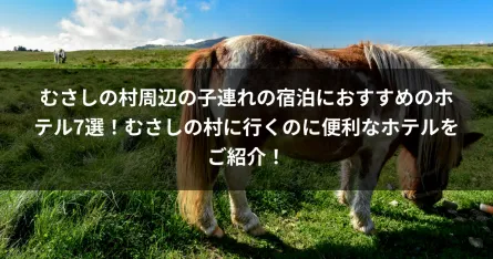 むさしの村周辺の子連れの宿泊におすすめのホテル7選！むさしの村に行くのに便利なホテルをご紹介！