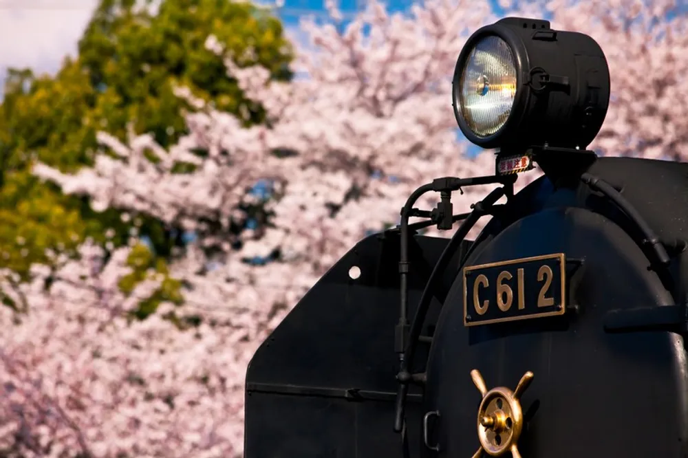 大井川鉄道周辺の子連れにおすすめの宿泊施設7選！ホテルや民宿に泊まってトーマスに会いに行こう！