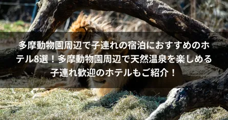 多摩動物園周辺で子連れの宿泊におすすめのホテル8選！多摩動物園周辺で天然温泉を楽しめる子連れ歓迎のホテルもご紹介！